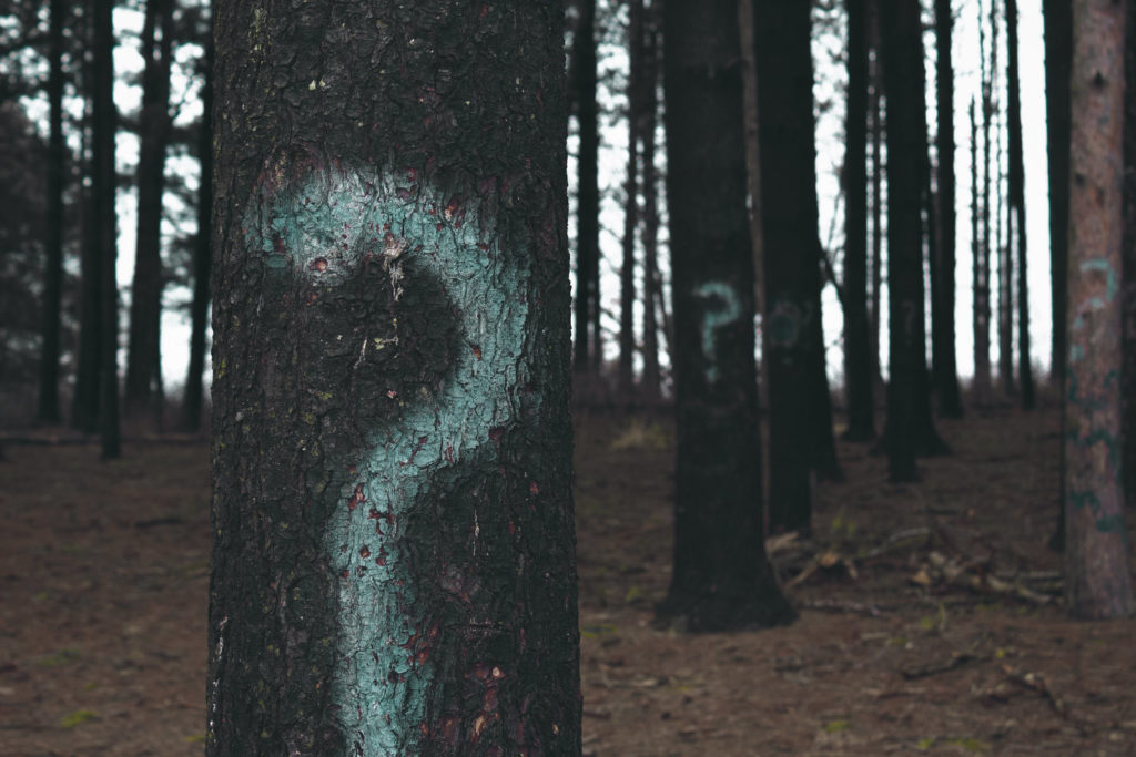 trees with spray paint