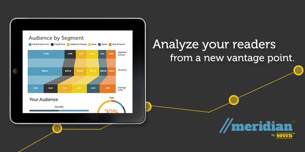 blog monetization data from meridian-sovrn.com